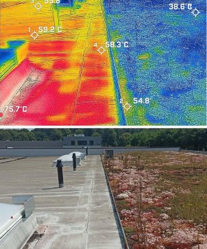 Thermografieaufnahme Dachgrün